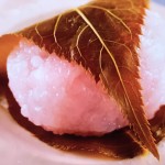 NHKきょうの料理は桜もち・ぼたもちレシピ！ユイミコの和菓子
